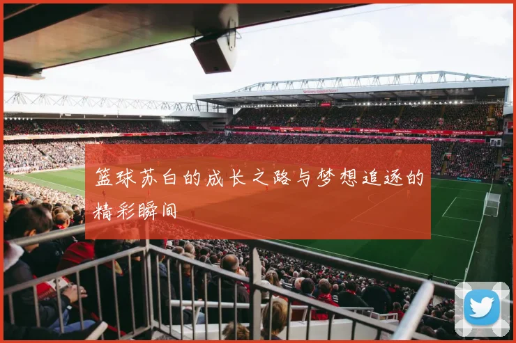 篮球苏白的成长之路与梦想追逐的精彩瞬间