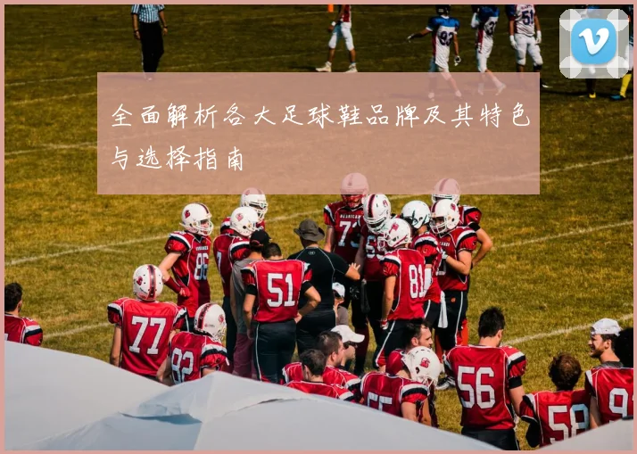 全面解析各大足球鞋品牌及其特色与选择指南